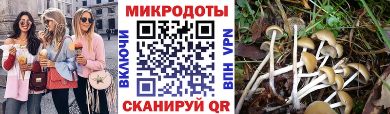 Галлюциногенные грибы Magic Shrooms  Купить  Александровск-Сахалинский 